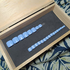 Bleu vénitien - Pied