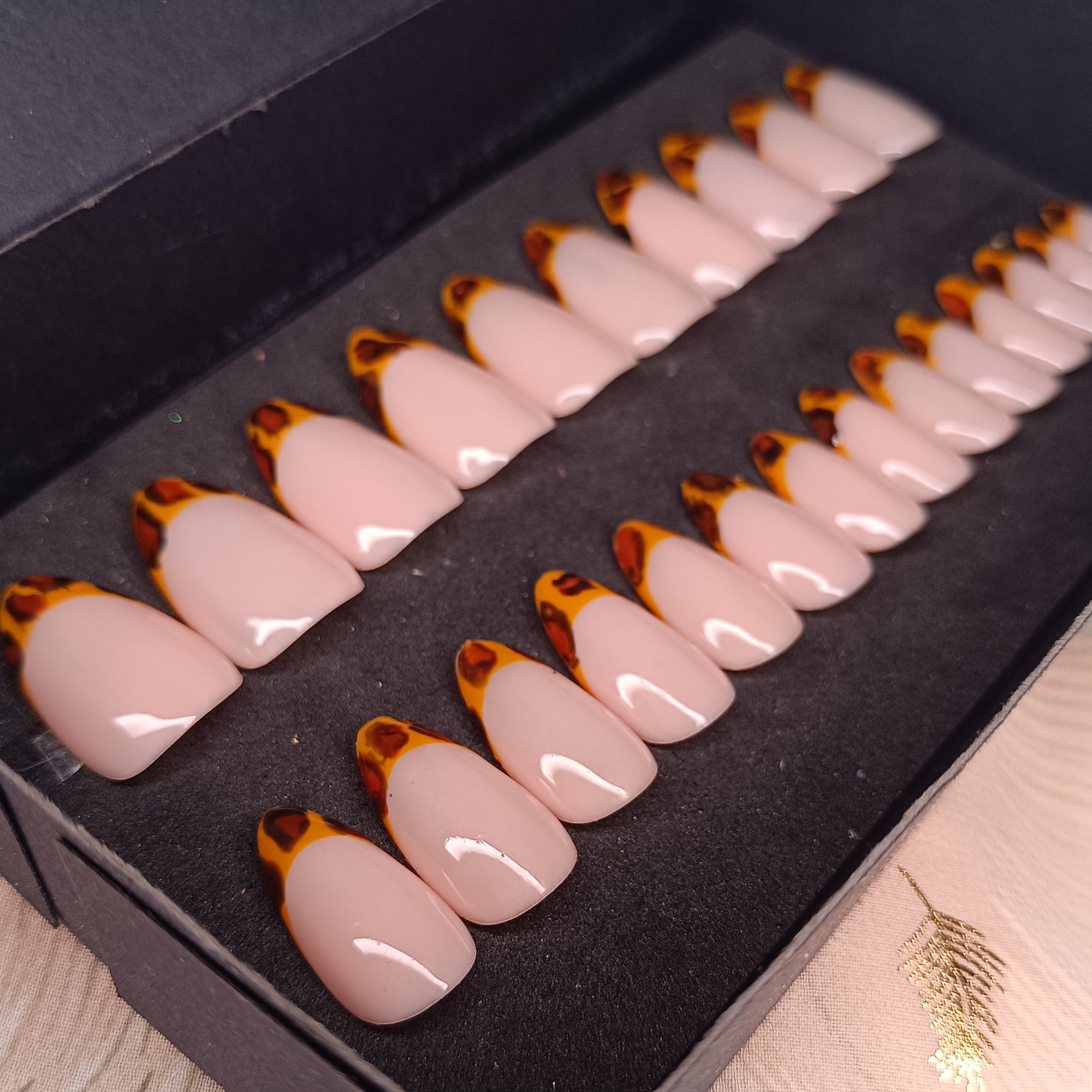 TORTOISE - AMANDE MEDIUM