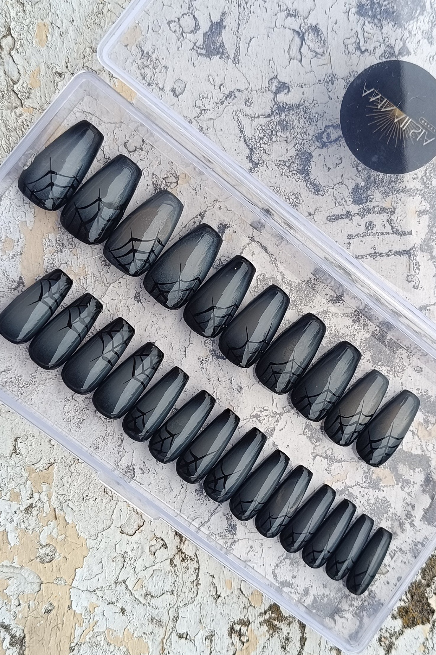 -30% - ARACHNIDES - COFFIN MEDIUM