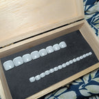 French Blanc Laiteux - Pied