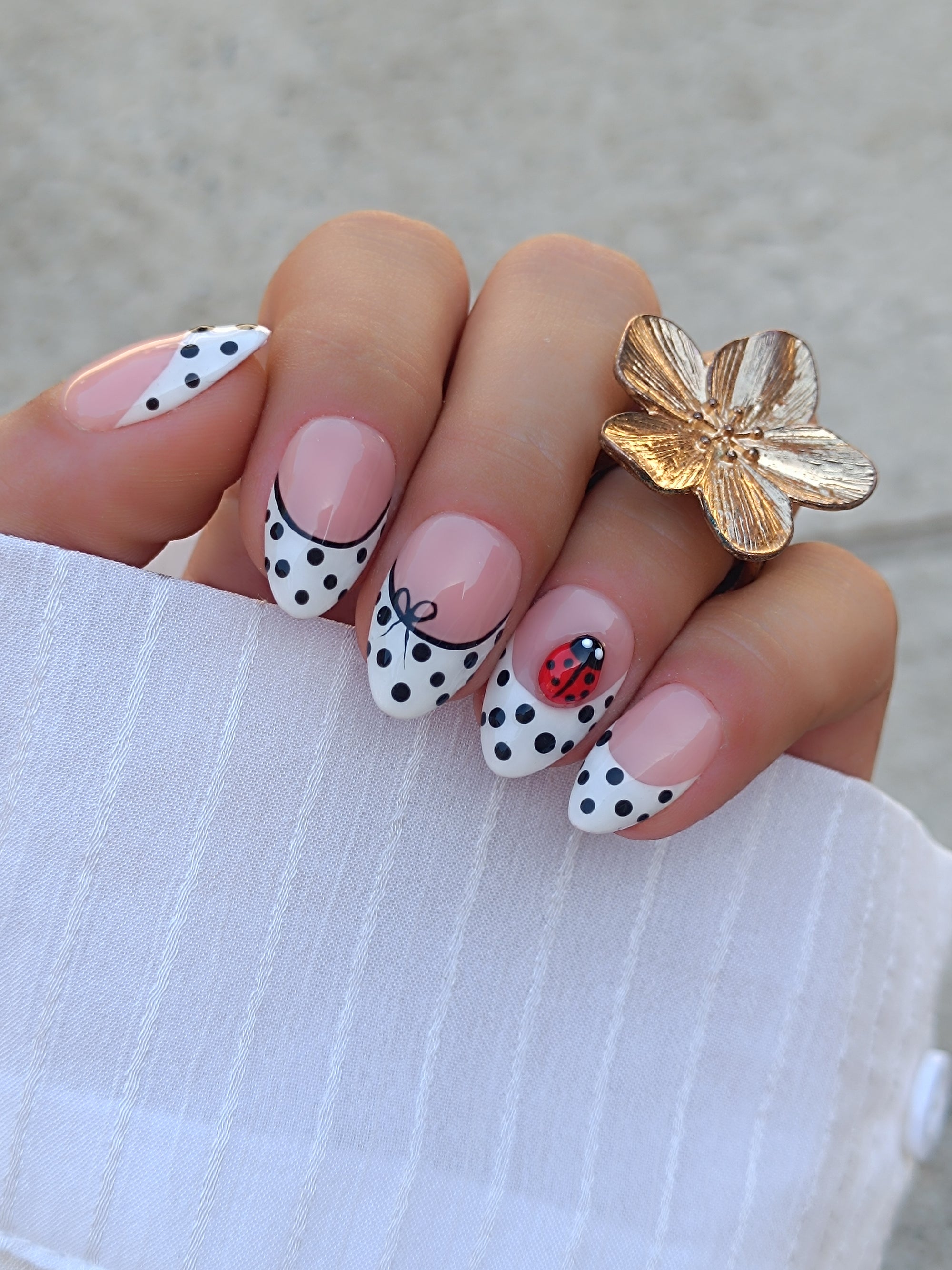 Ladybug