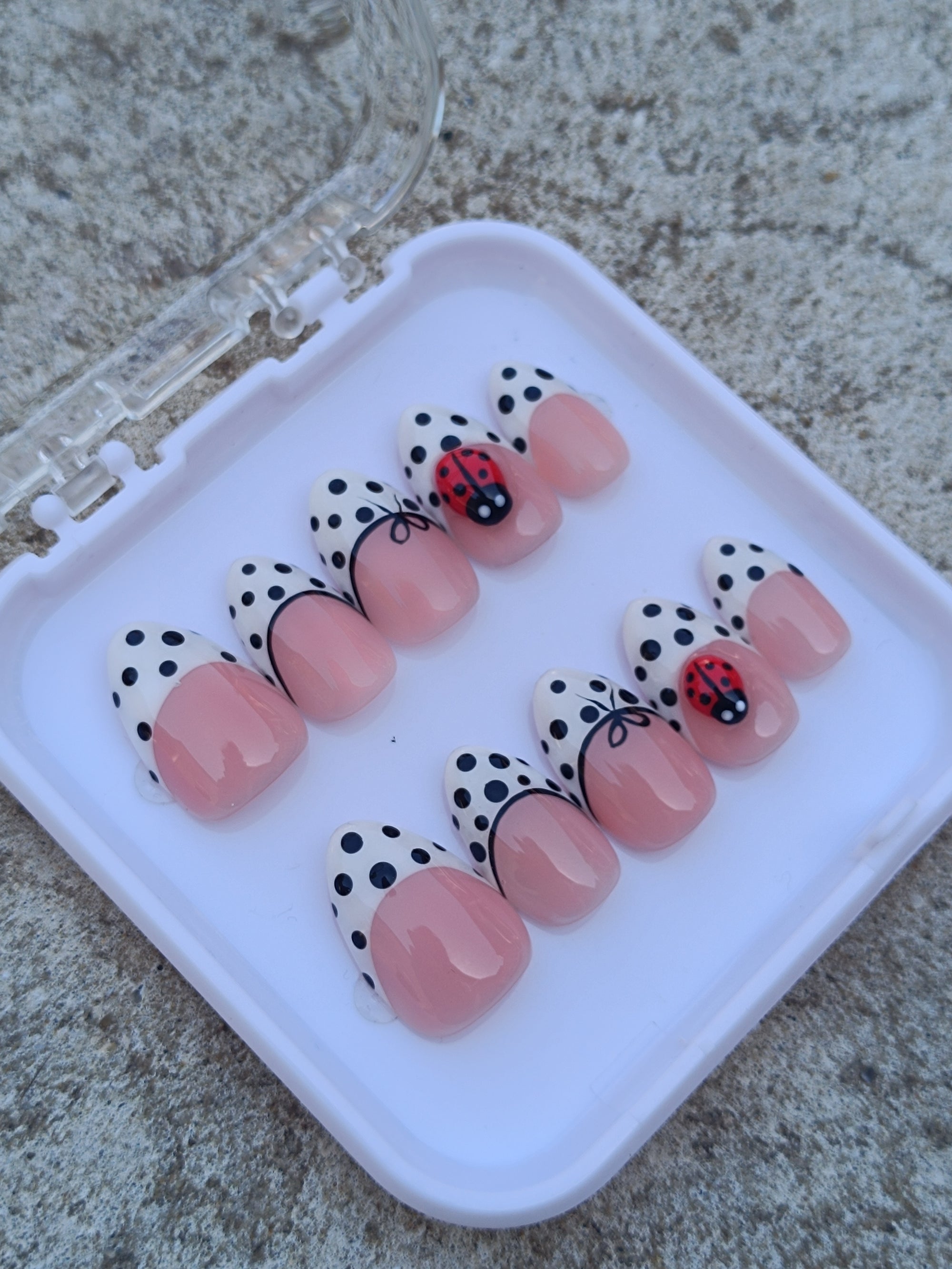 Ladybug