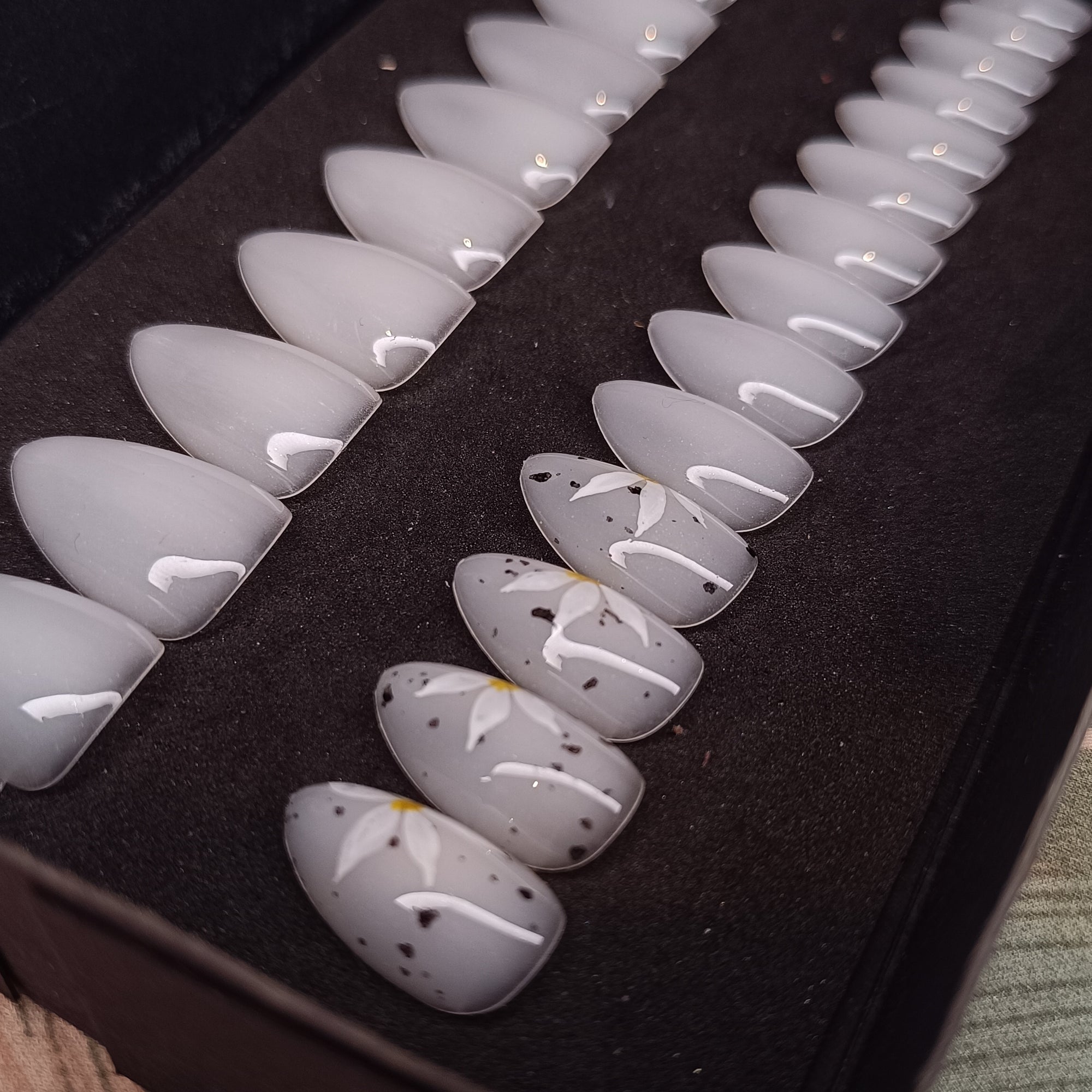 DAISY - AMANDE COURTE