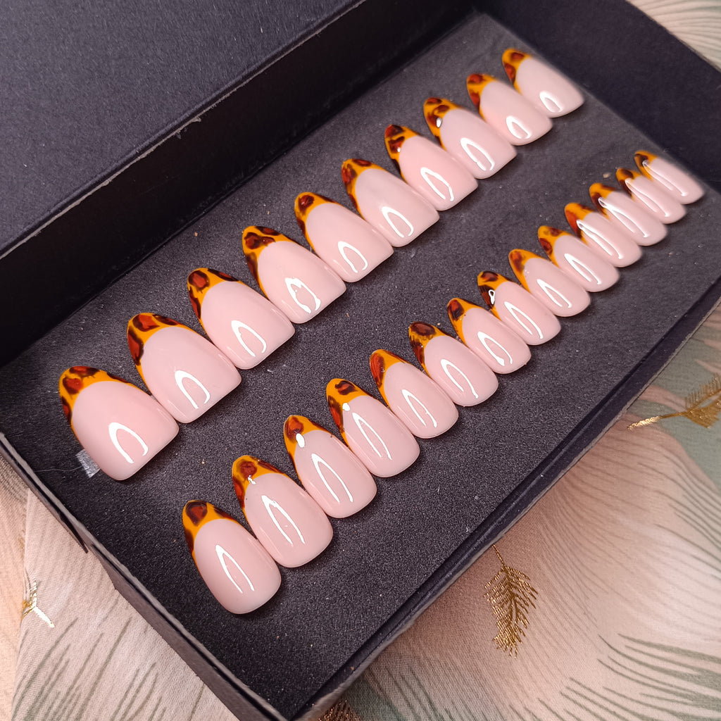 TORTOISE - AMANDE MEDIUM