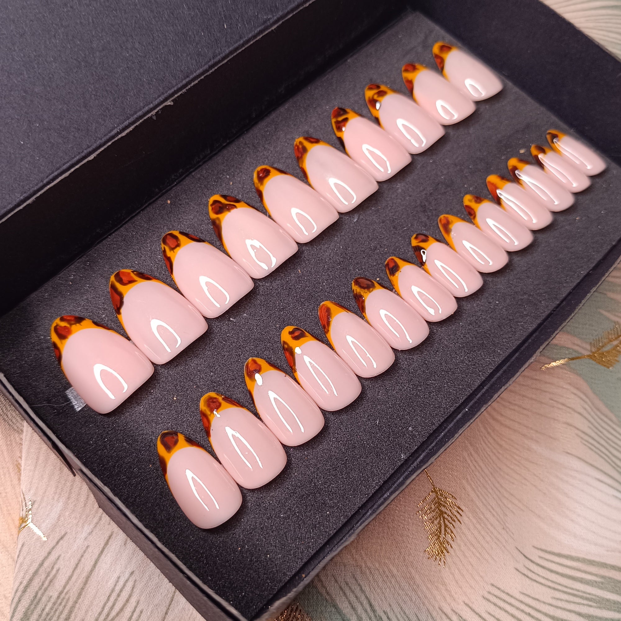 TORTOISE - AMANDE MEDIUM