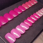 SHELLROSE - CARRÉ COURT